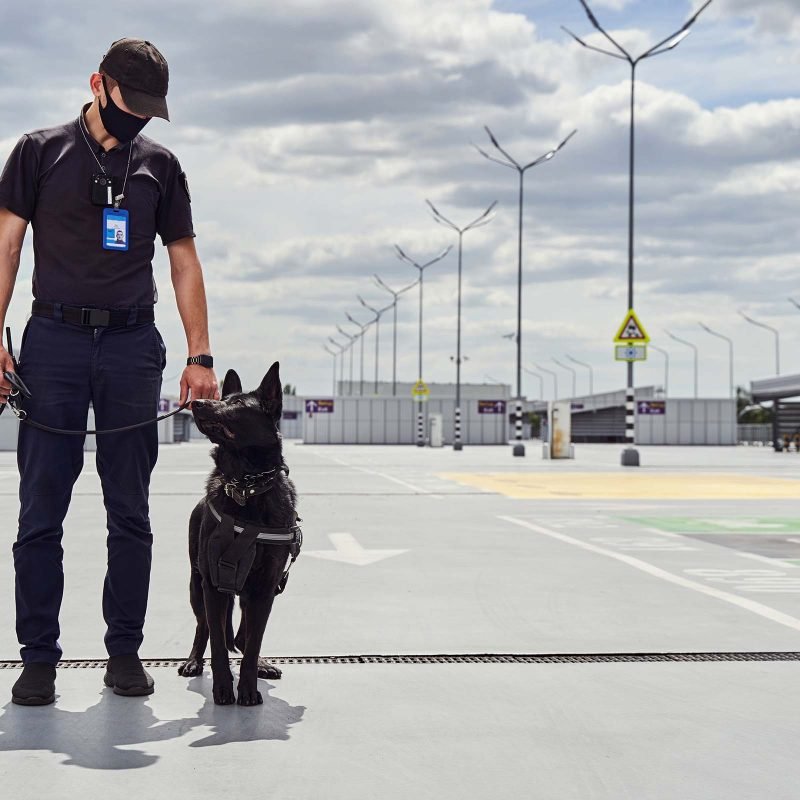 security-officer-and-police-dog-patrolling-territo-JQAT69W.jpg
